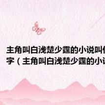 主角叫白浅楚少霆的小说叫什么名字(主角叫白浅楚少霆的小说介绍)