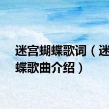 迷宫蝴蝶歌词（迷宫蝴蝶歌曲介绍）