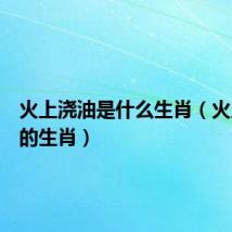 火上浇油是什么生肖（火上浇油的生肖）
