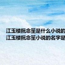 江玉楼阮念笙是什么小说的名字(江玉楼阮念笙小说的名字是什么)