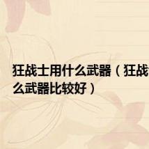 狂战士用什么武器(狂战士用什么武器比较好)