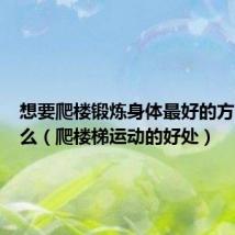 想要爬楼锻炼身体最好的方法是什么（爬楼梯运动的好处）