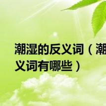 潮湿的反义词（潮湿反义词有哪些）