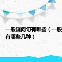一般疑问句有哪些(一般疑问句有哪些几种)