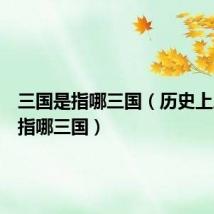 三国是指哪三国(历史上三国是指哪三国)