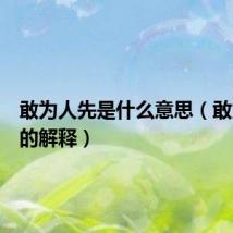 敢为人先是什么意思(敢为人先的解释)