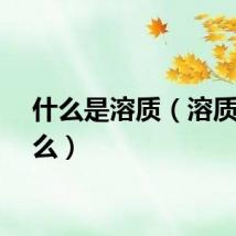 什么是溶质（溶质是什么）