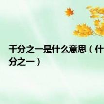 千分之一是什么意思(什么是千分之一)