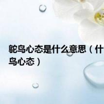 鸵鸟心态是什么意思(什么是鸵鸟心态)