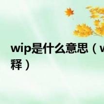 wip是什么意思(wip解释)