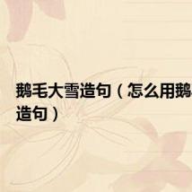 鹅毛大雪造句(怎么用鹅毛大雪造句)