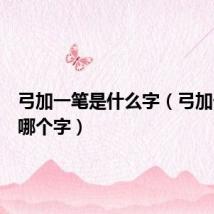 弓加一笔是什么字（弓加一笔是哪个字）
