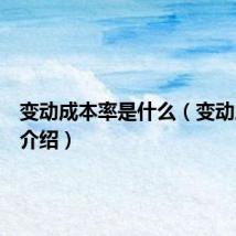 变动成本率是什么(变动成本率介绍)