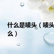 什么是唛头（唛头是什么）