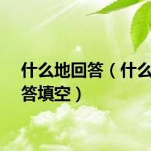 什么地回答（什么地回答填空）
