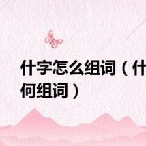 什字怎么组词（什字如何组词）