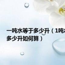 一吨水等于多少升(1吨水等于多少升如何算)