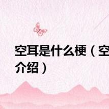 空耳是什么梗（空耳梗介绍）