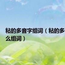 粘的多音字组词(粘的多音字怎么组词)