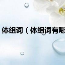 体组词（体组词有哪些）
