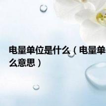 电量单位是什么(电量单位是什么意思)