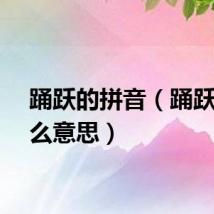 踊跃的拼音（踊跃是什么意思）