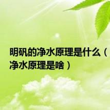 明矾的净水原理是什么(明矾的净水原理是啥)