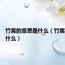 竹篙的意思是什么(竹篙指的是什么)