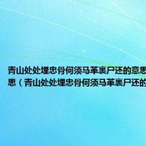 青山处处埋忠骨何须马革裹尸还的意思是什么意思(青山处处埋忠骨何须马革裹尸还的意思)