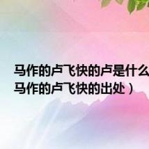 马作的卢飞快的卢是什么意思(马作的卢飞快的出处)