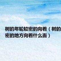 树的年轮较密的向着(树的年轮较密的地方向着什么面)