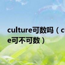 culture可数吗(culture可不可数)