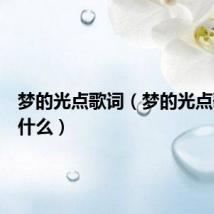 梦的光点歌词（梦的光点歌词是什么）