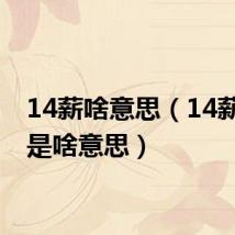 14薪啥意思(14薪到底是啥意思)