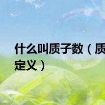 什么叫质子数（质子数定义）