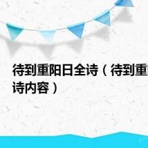 待到重阳日全诗(待到重阳日全诗内容)