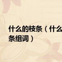 什么的枝条（什么的枝条组词）