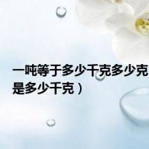 一吨等于多少千克多少克(一吨是多少千克)