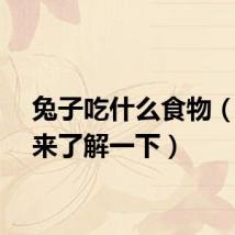 兔子吃什么食物（一起来了解一下）