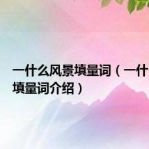 一什么风景填量词(一什么风景填量词介绍)