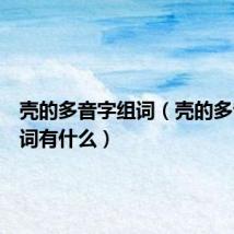 壳的多音字组词(壳的多音字组词有什么)