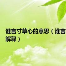 谁言寸草心的意思(谁言寸草心解释)