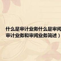 什么是审计业务什么是审阅业务(审计业务和审阅业务简述)