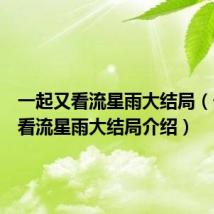 一起又看流星雨大结局(一起又看流星雨大结局介绍)