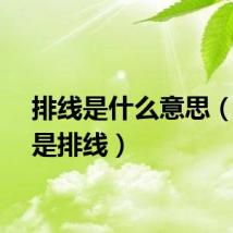 排线是什么意思（什么是排线）