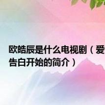 欧皓辰是什么电视剧(爱情是从告白开始的简介)