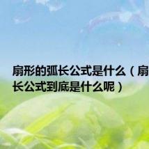 扇形的弧长公式是什么(扇形的弧长公式到底是什么呢)