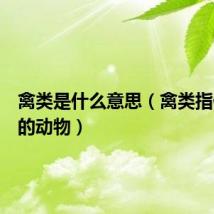 禽类是什么意思（禽类指什么样的动物）