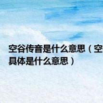 空谷传音是什么意思(空谷传音具体是什么意思)