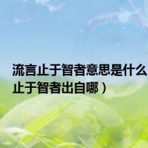 流言止于智者意思是什么（流言止于智者出自哪）